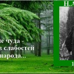 Н.А. Бердяев — цитаты