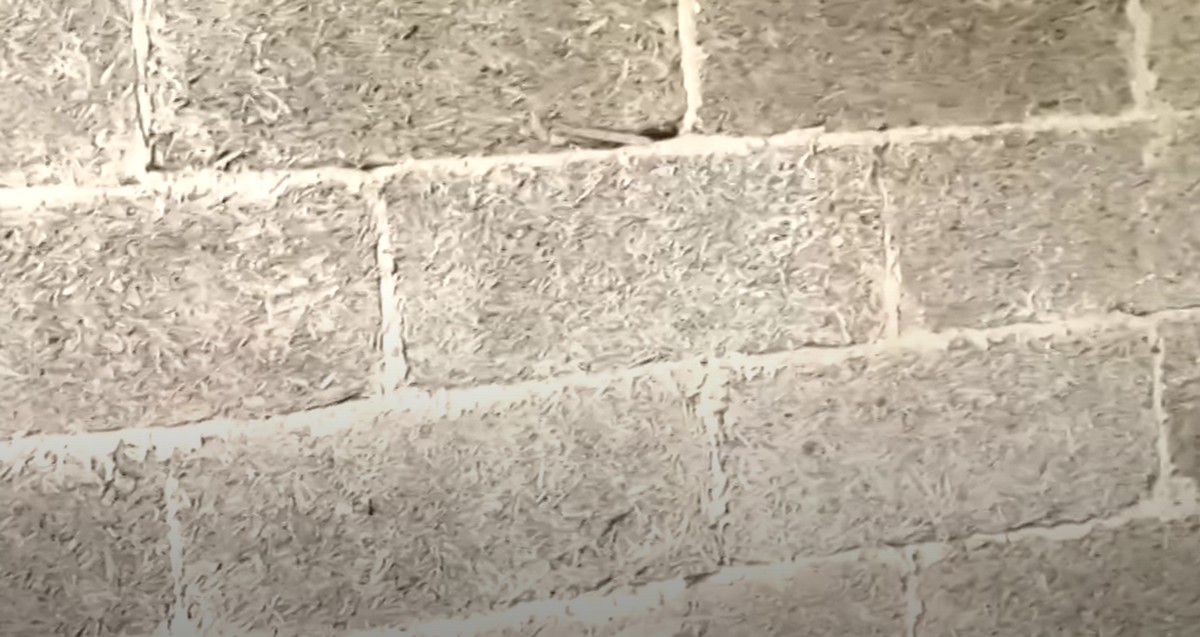 Вероятные события ноября, декабря 